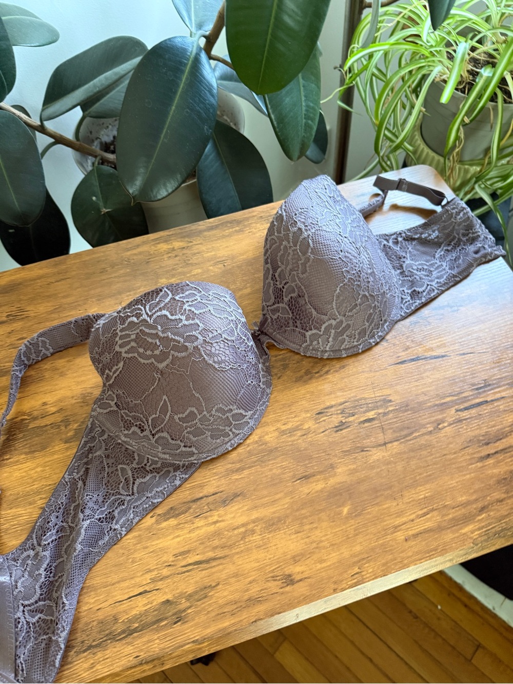 Delta Burke Lace T-Shirt Bra in Taupe Gray